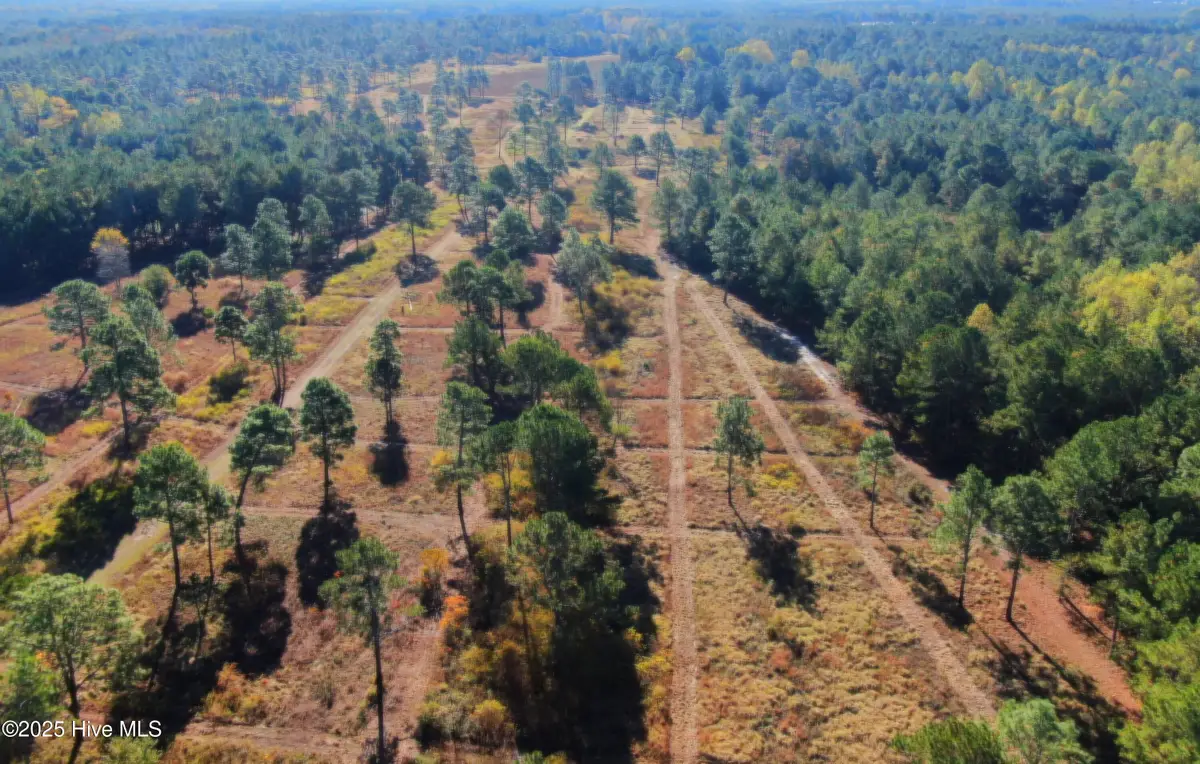 0 W Magnolia-lisbon Road, Rose Hill, NC 28458 - Image #1