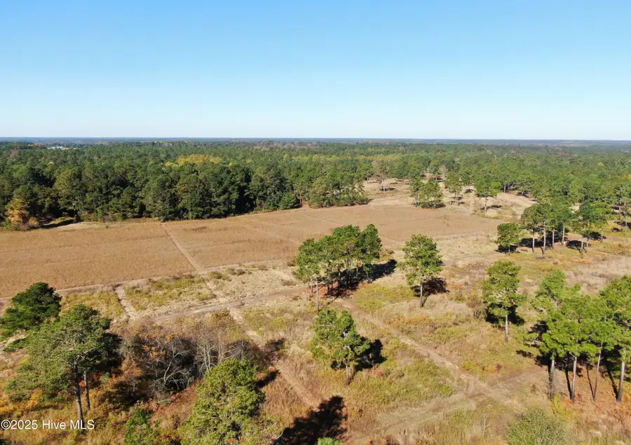 0 W Magnolia-lisbon Road, Rose Hill, NC 28458 - Image #2