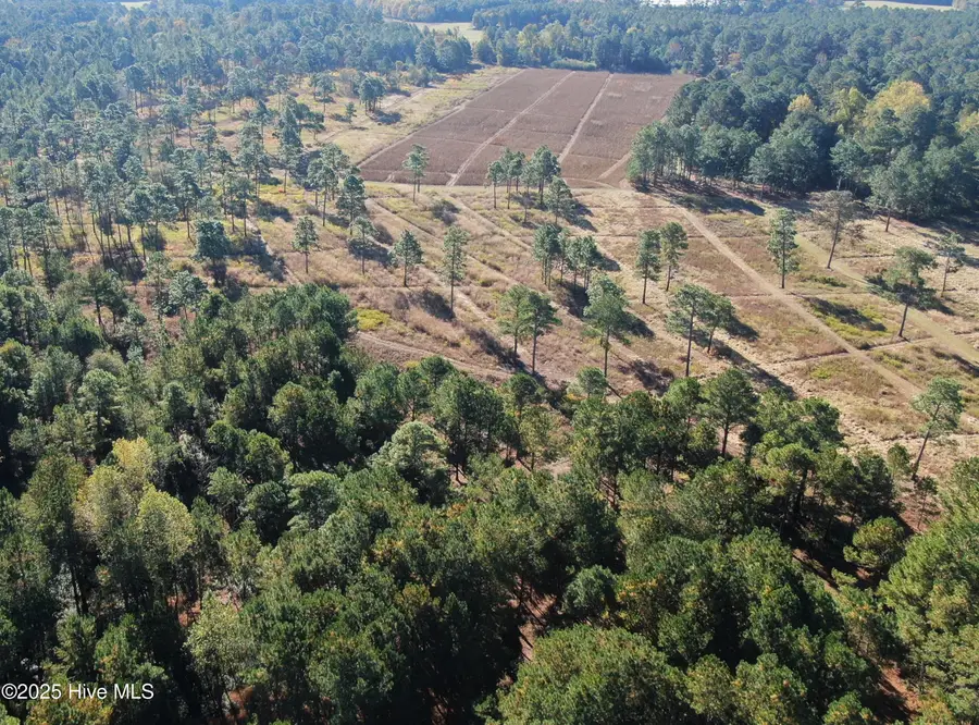 0 W Magnolia-lisbon Road, Rose Hill, NC 28458 - Image #3