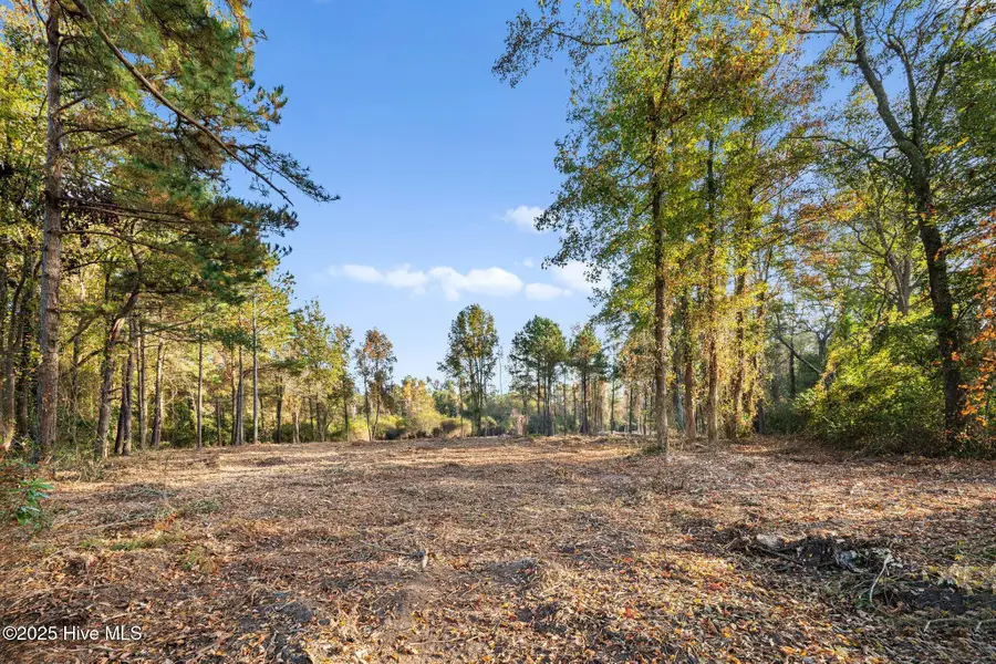 Lot D Us Hwy 117 Bypass S, Burgaw, NC 28425 - Image #2