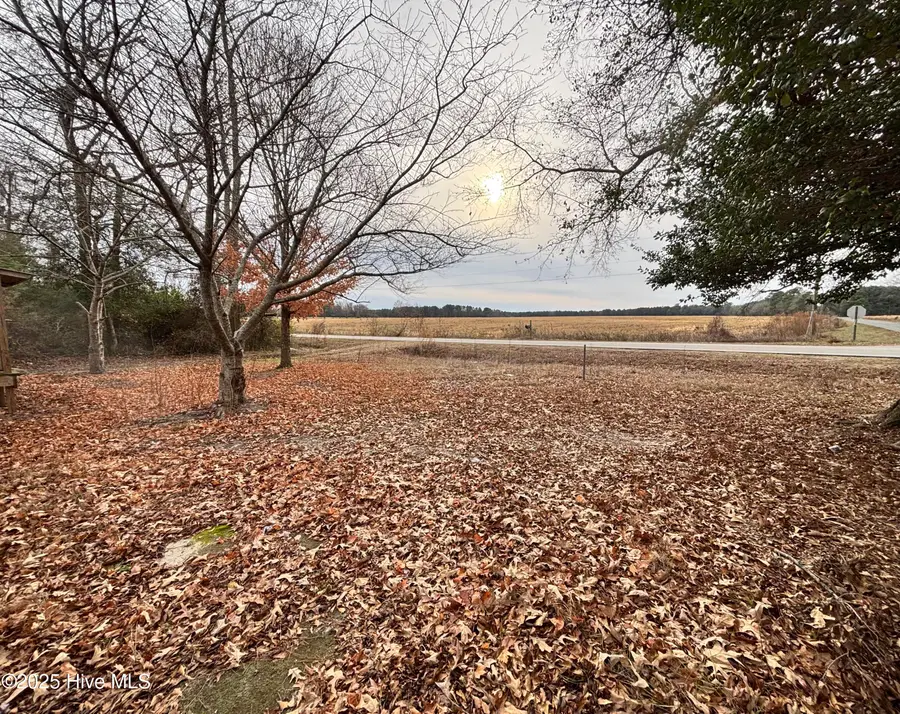 4205 Bass Lake Road, Clinton, NC 28328 - Image #3