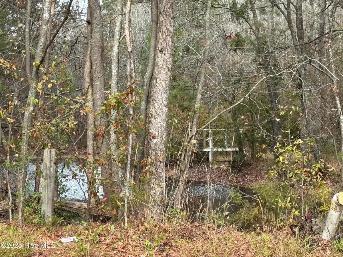 0 Boyd Lake Road, Hamlet, NC 28345 - Image #1