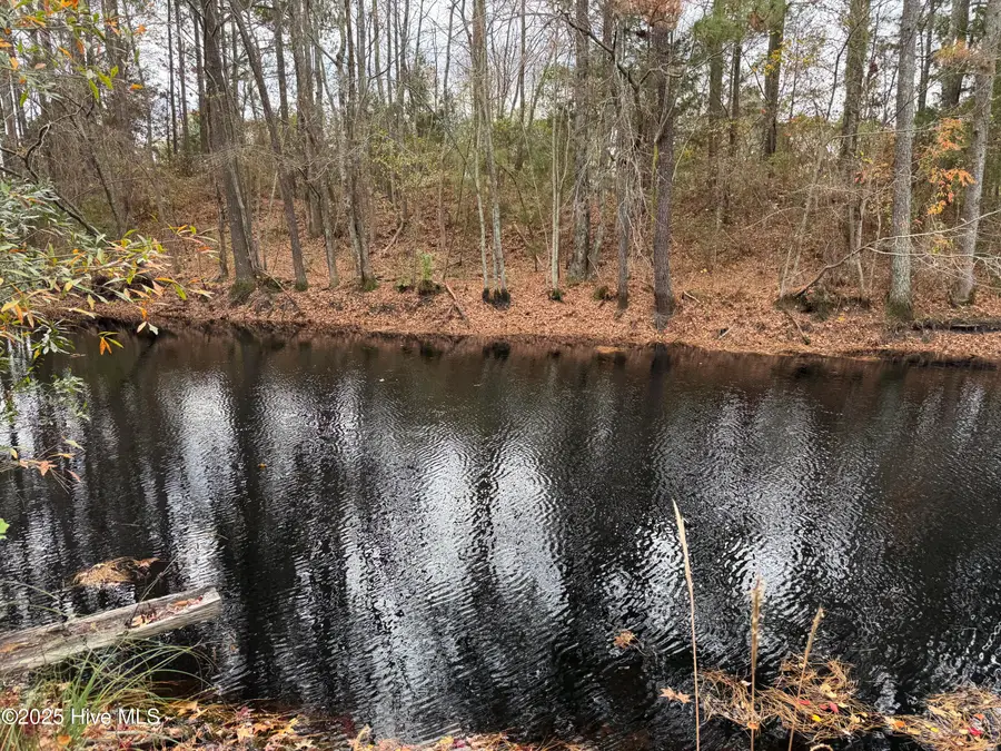 0 Boyd Lake Road, Hamlet, NC 28345 - Image #3