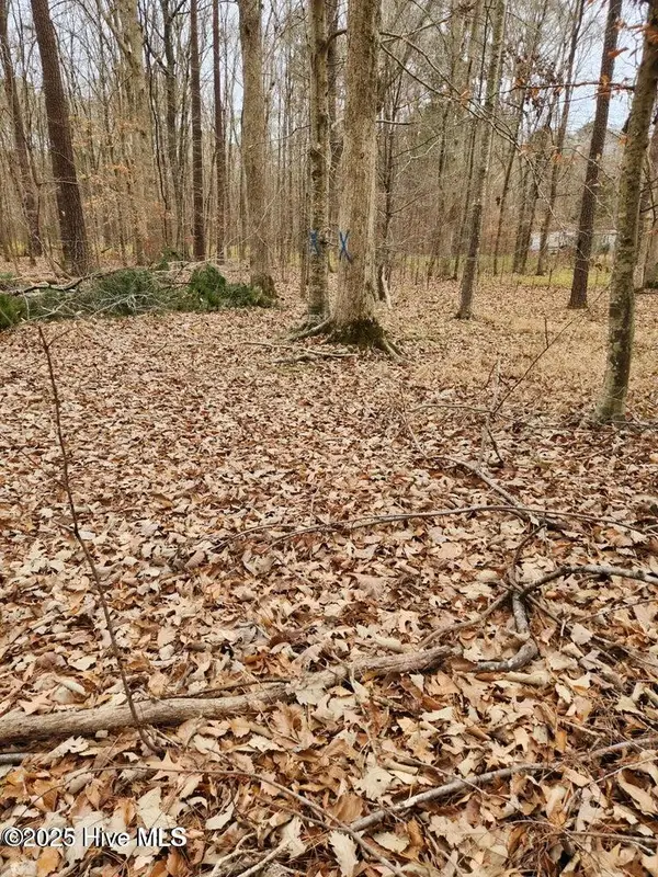 146 Tranquility Lane, Hertford, NC 27944