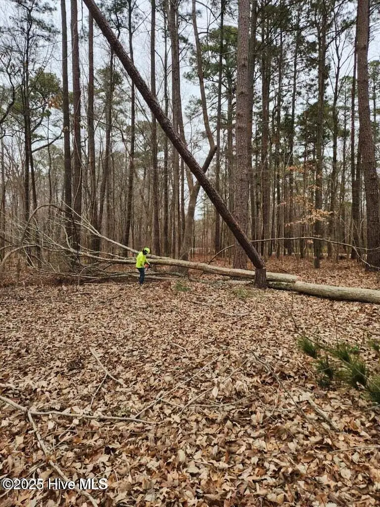 146 Tranquility Lane, Hertford, NC 27944 - Image #3