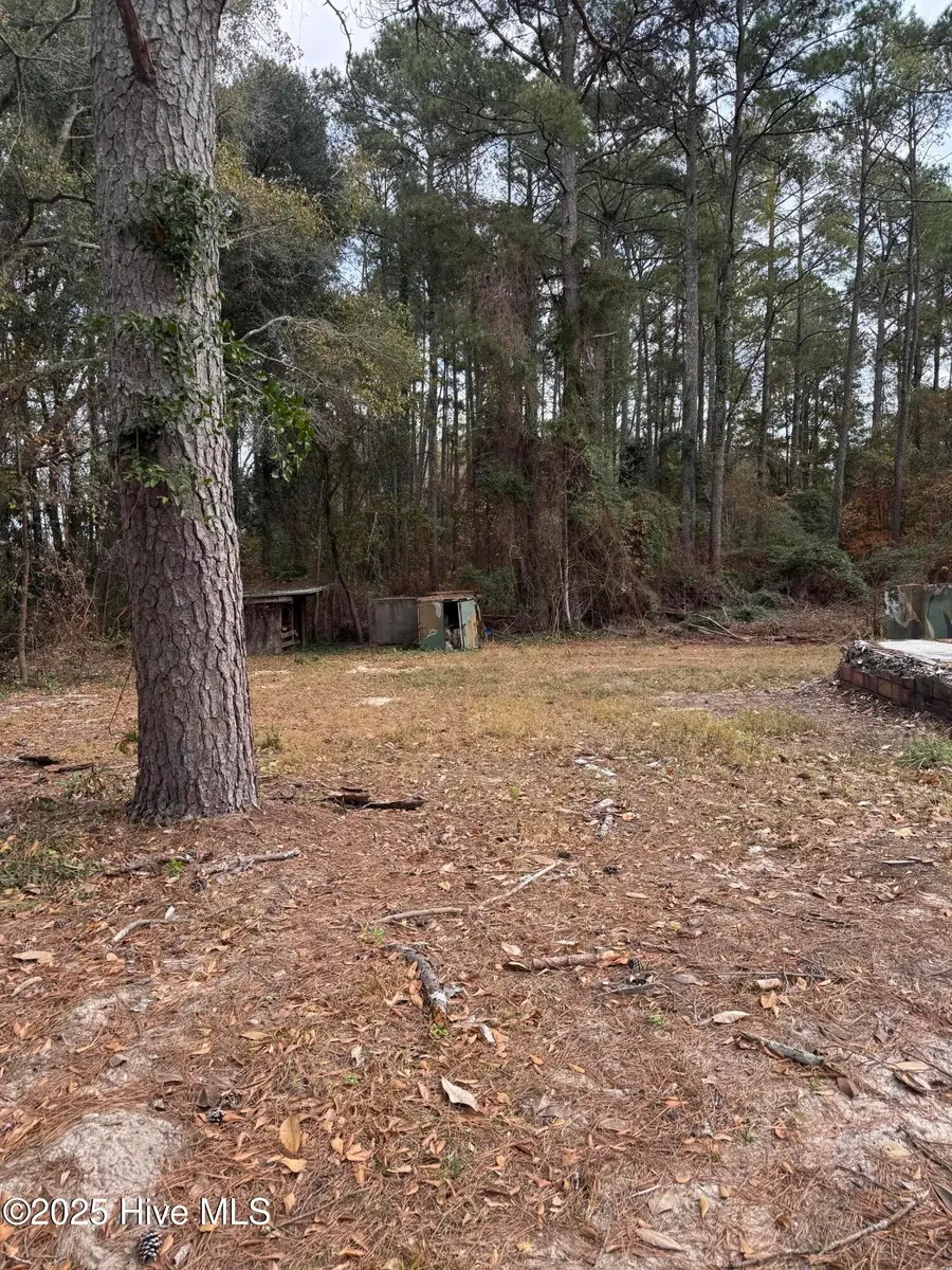 0 Ellerbe Road, Rockingham, NC 28379 - Image #2