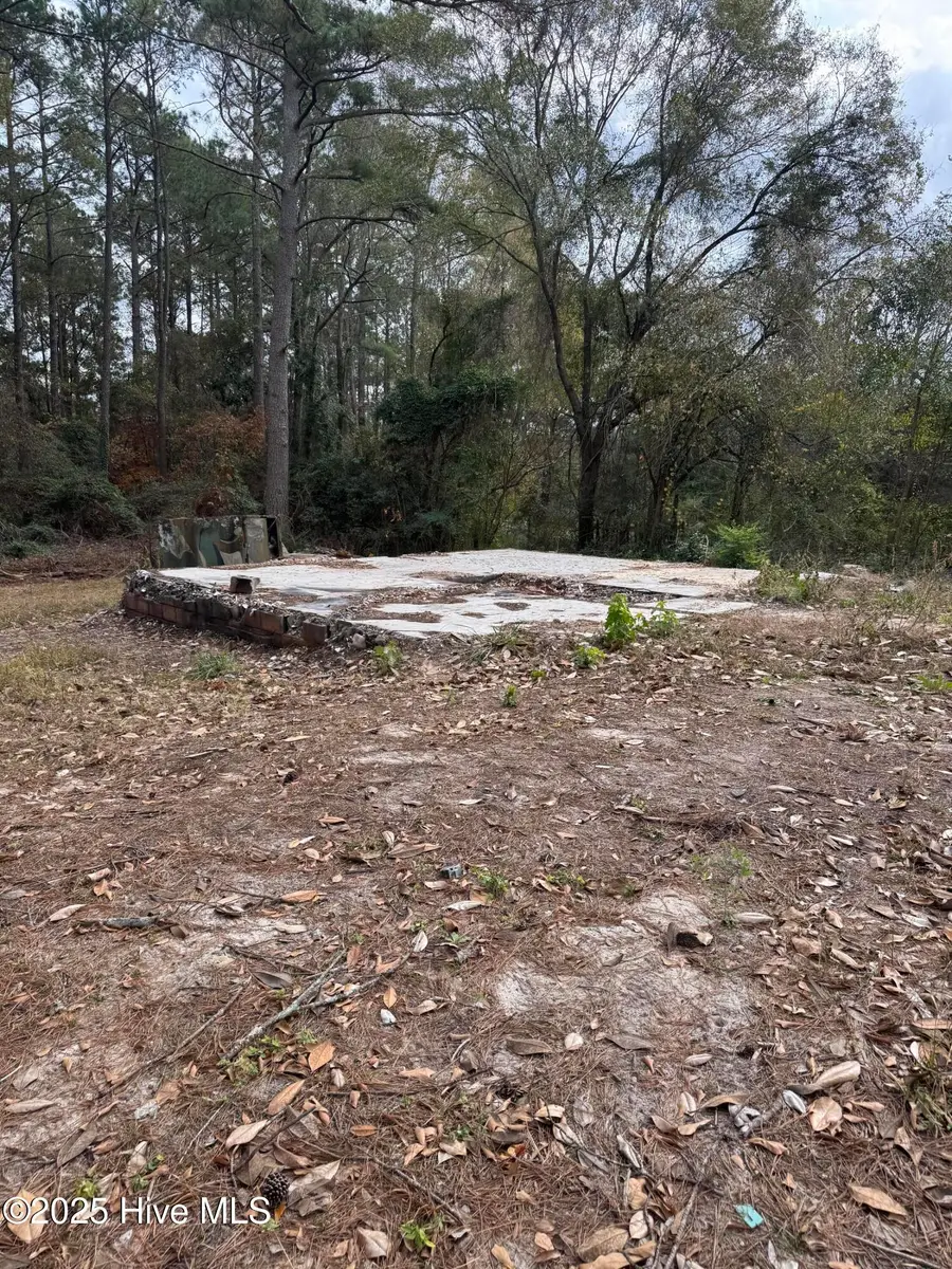 0 Ellerbe Road, Rockingham, NC 28379 - Image #3