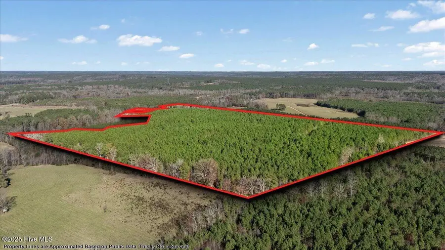 35895 Nc-561, Hollister, NC 27844 - Image #3