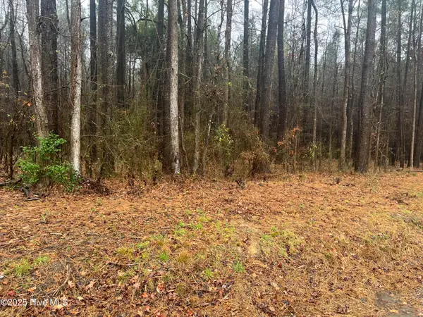 0 Reams Road, Spring Hope, NC 27882