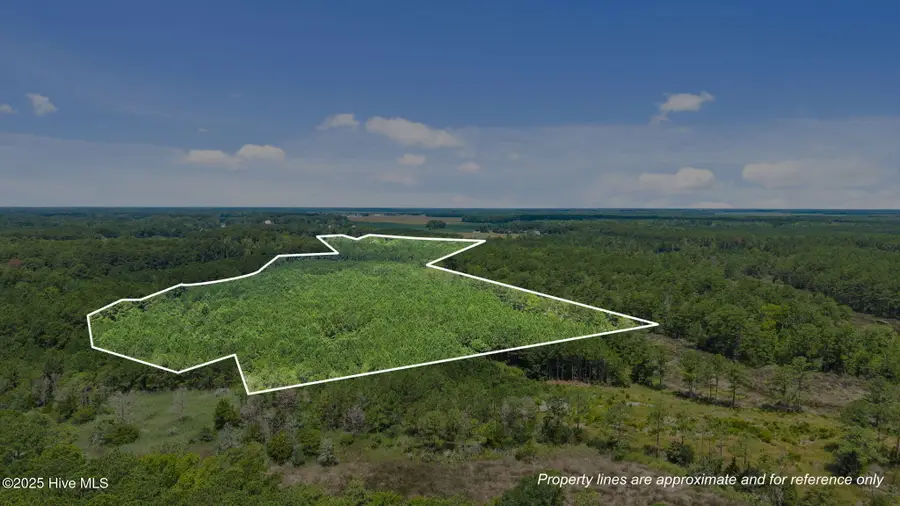 0 White Farm Road, Oriental, NC 28571 - Image #2