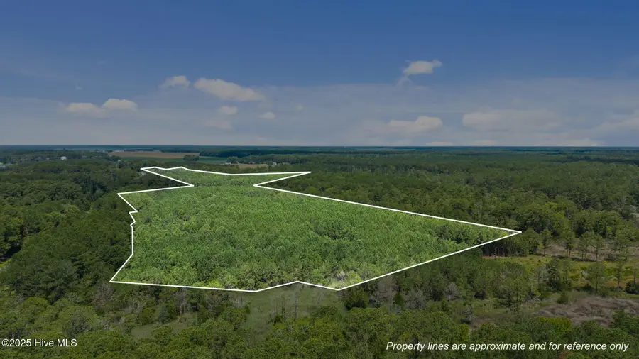 0 White Farm Road, Oriental, NC 28571 - Image #3