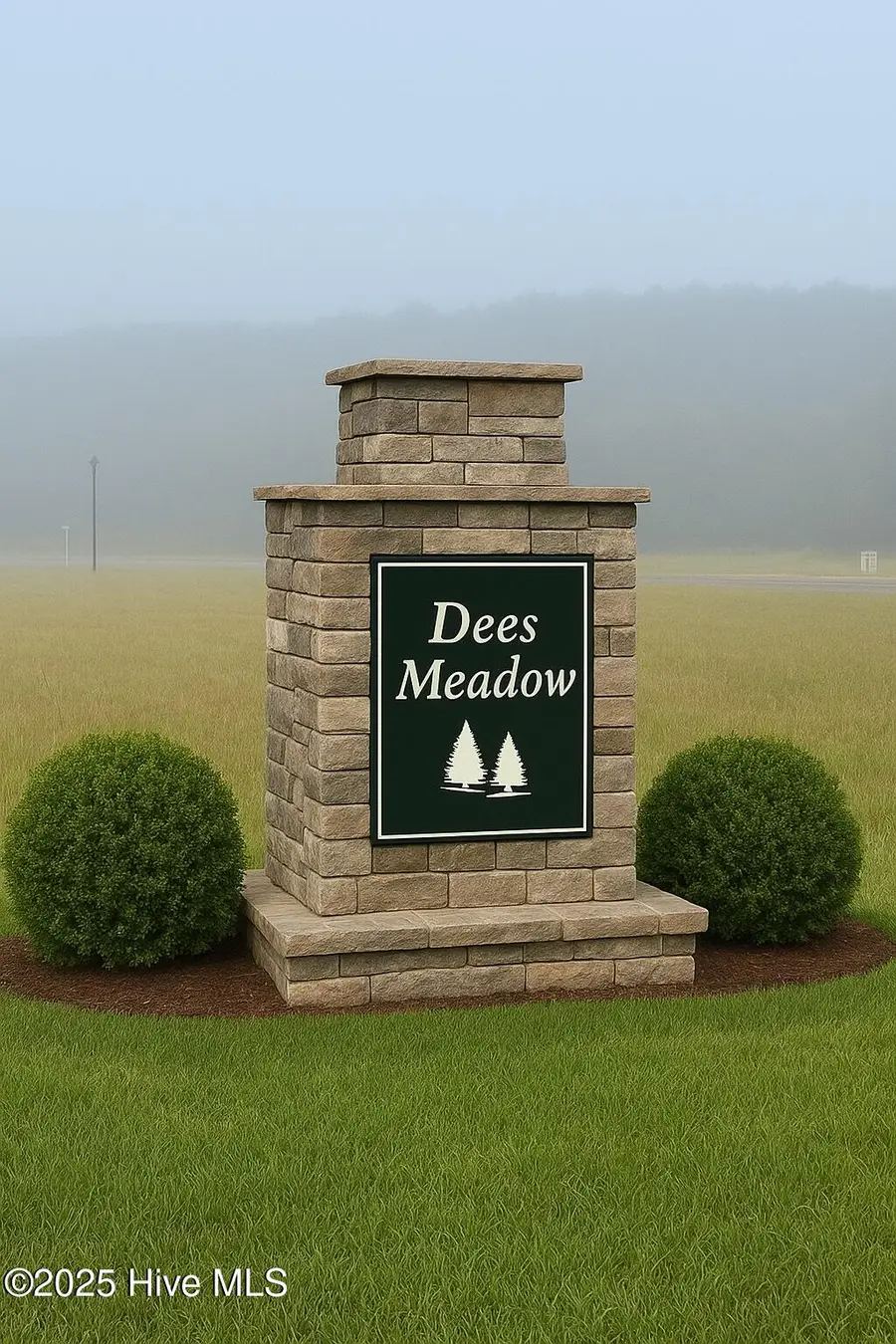100 Dees Meadow Lane, Fremont, NC 27830 - Image #3