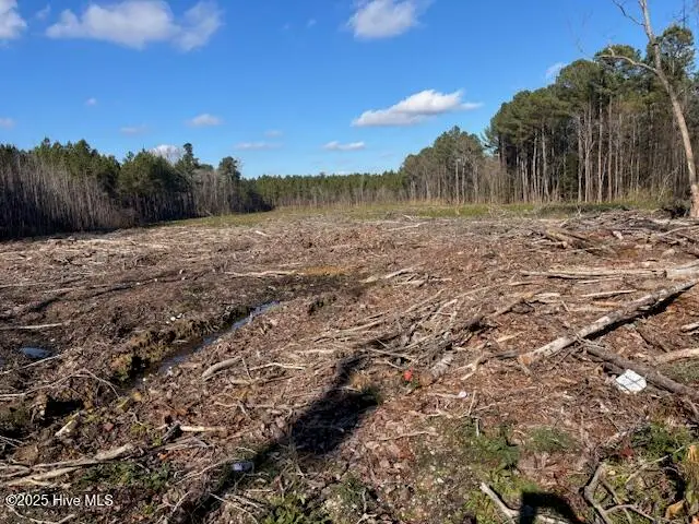 0 Crepe Myrtle Court, Wilson, NC 27896 - Image #2