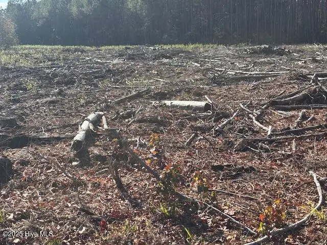 0 Crepe Myrtle Court, Wilson, NC 27896 - Image #2