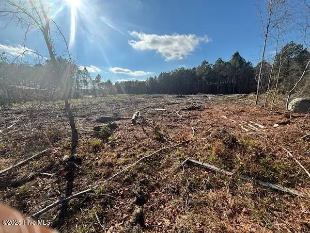 0 Crepe Myrtle Court, Wilson, NC 27896 - Image #3