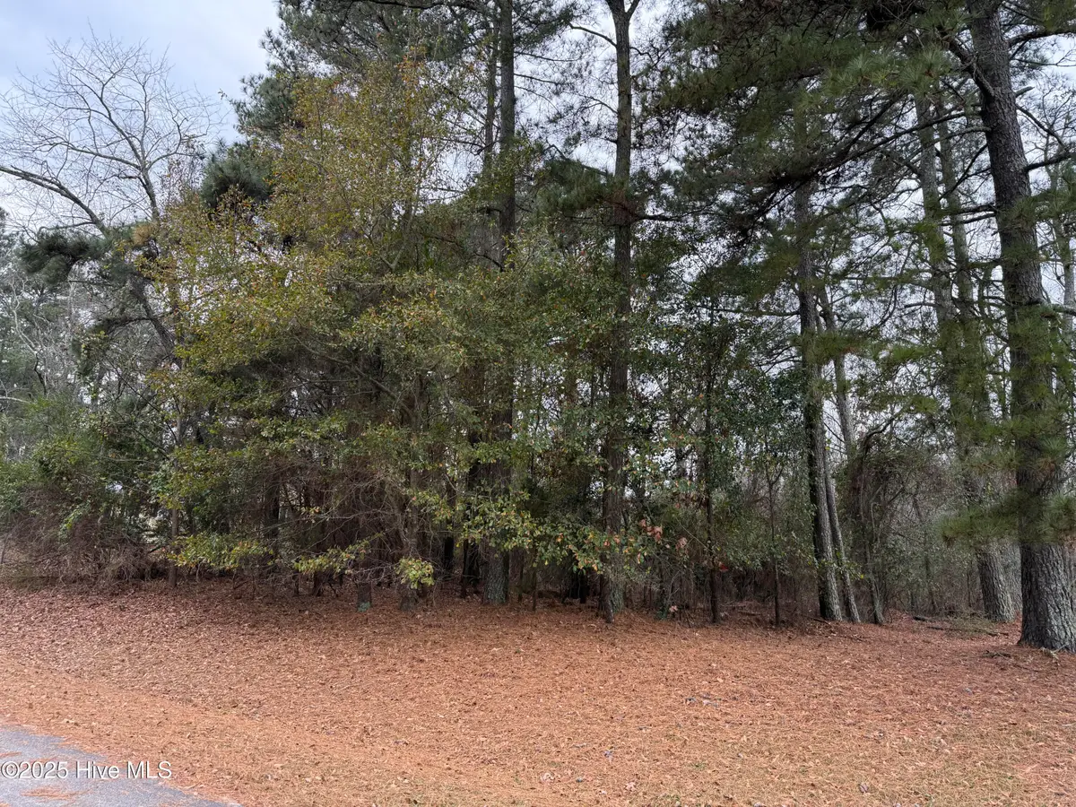 Lot 8 Green Acres Road, Carthage, NC 28327 - Image #1