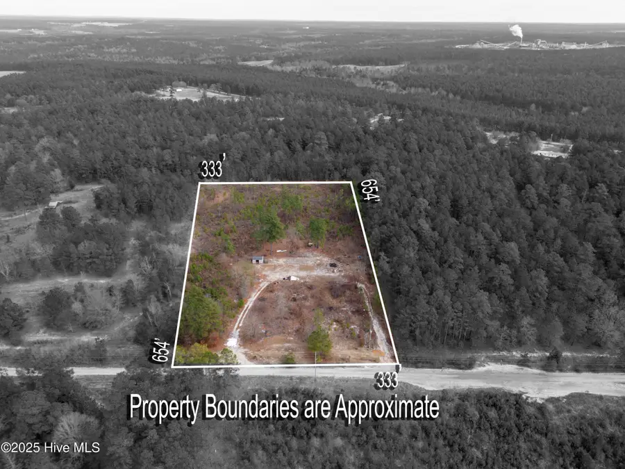 342 Ponderosa Drive, Hamlet, NC 28345 - Image #2