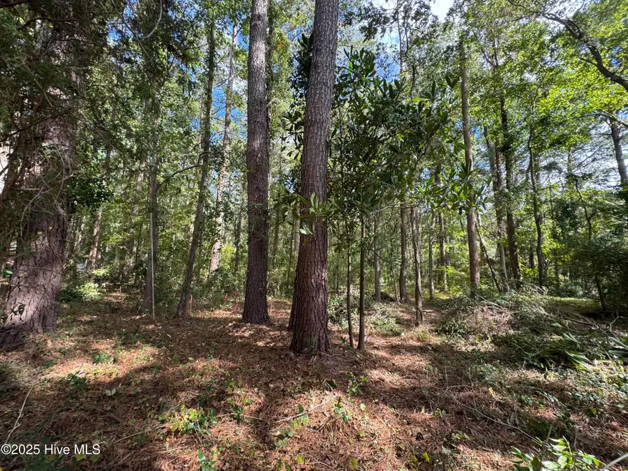 257 Clark Road, Bath, NC 27808 - Image #2