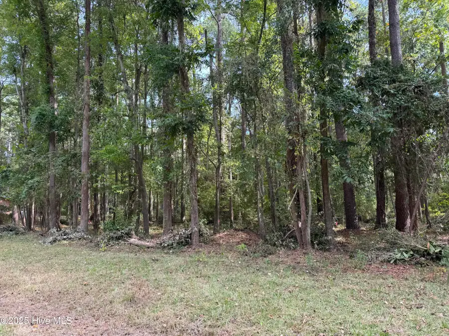 257 Clark Road, Bath, NC 27808 - Image #3