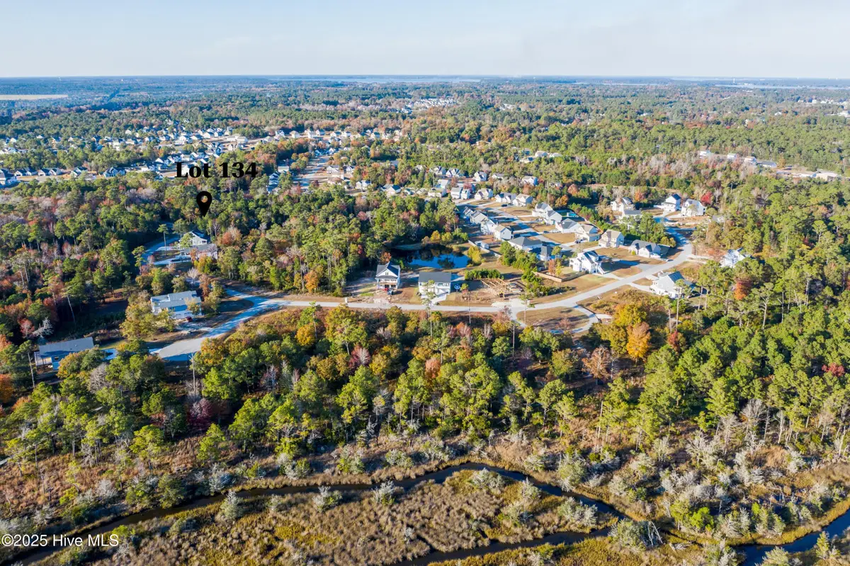 348 Landon Lane, Sneads Ferry, NC 28460 - Image #1