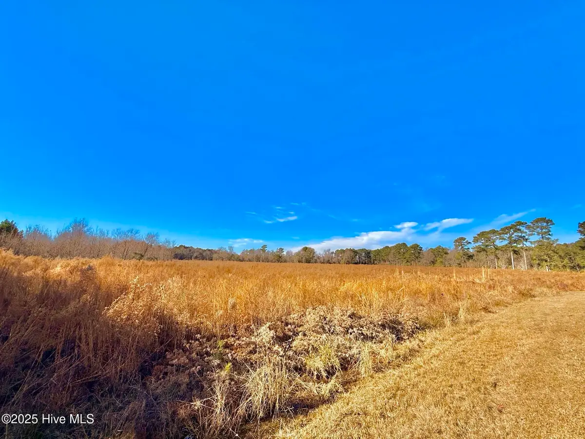 12.05 Acre Near 861 Marietta Rd, Fairmont, NC 28340 - Image #1