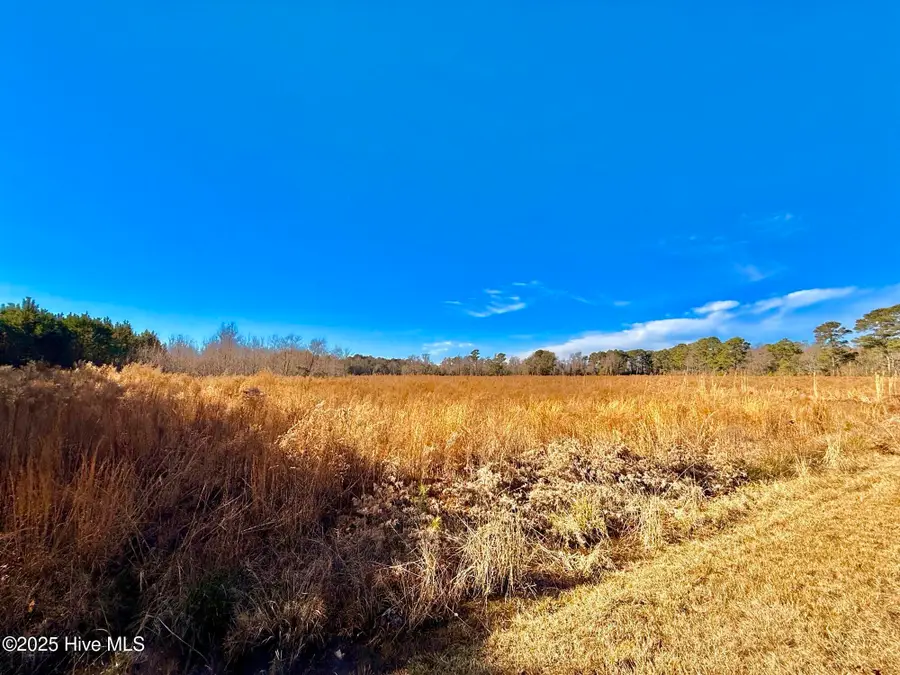 12.05 Acre Near 861 Marietta Rd, Fairmont, NC 28340 - Image #2