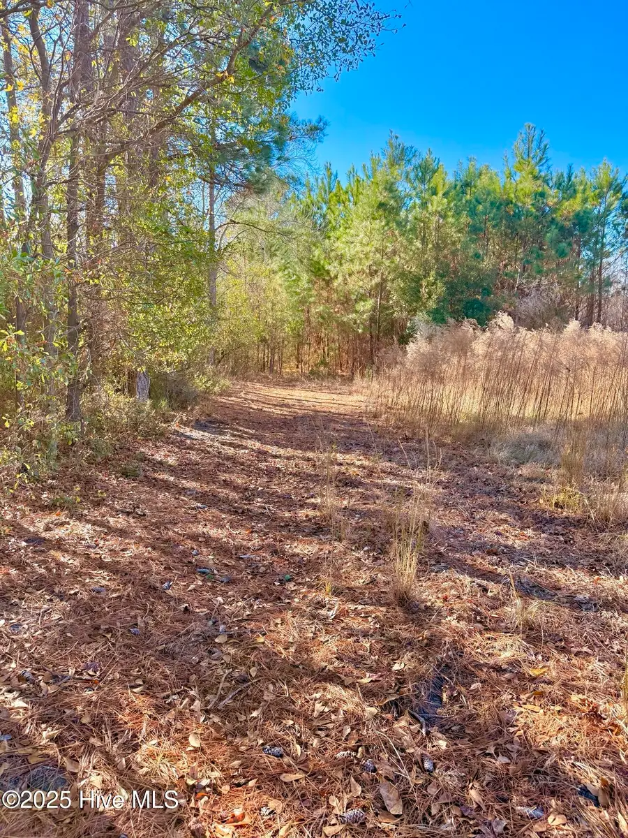 12.05 Acre Near 861 Marietta Rd, Fairmont, NC 28340 - Image #3