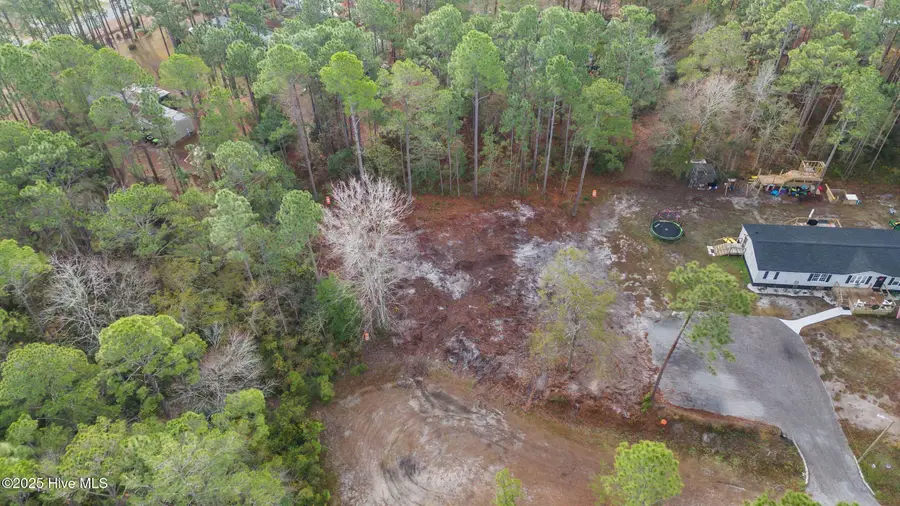 Lot 10 Dorado Lane, Boiling Spring Lakes, NC 28461 - #2