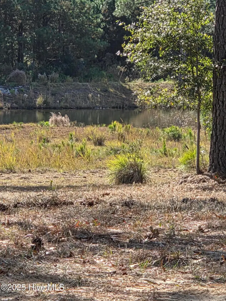 996 Montclair Place Sw, Sunset Beach, NC 28468 - Image #2