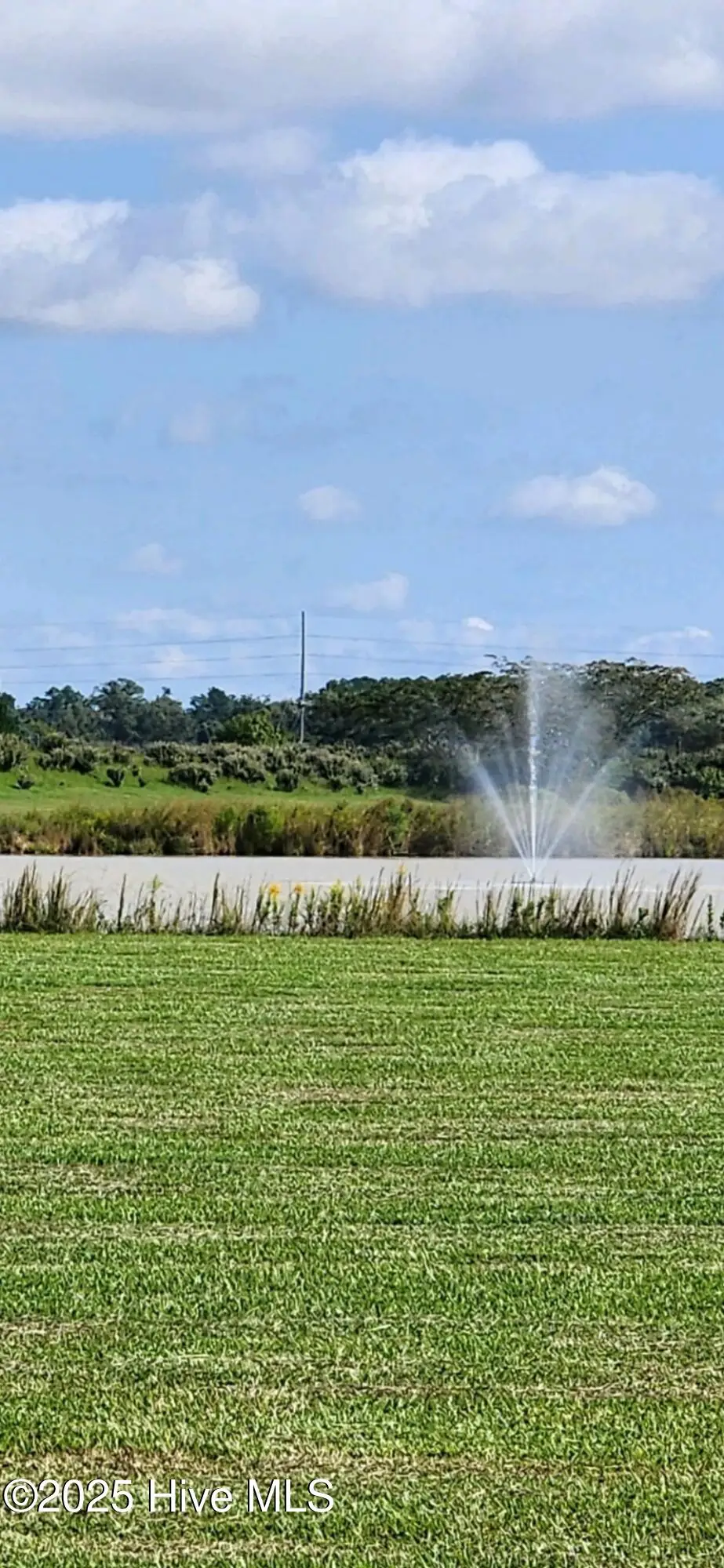 119 Quarter Horse Loop, Hertford, NC 27944 - Image #1