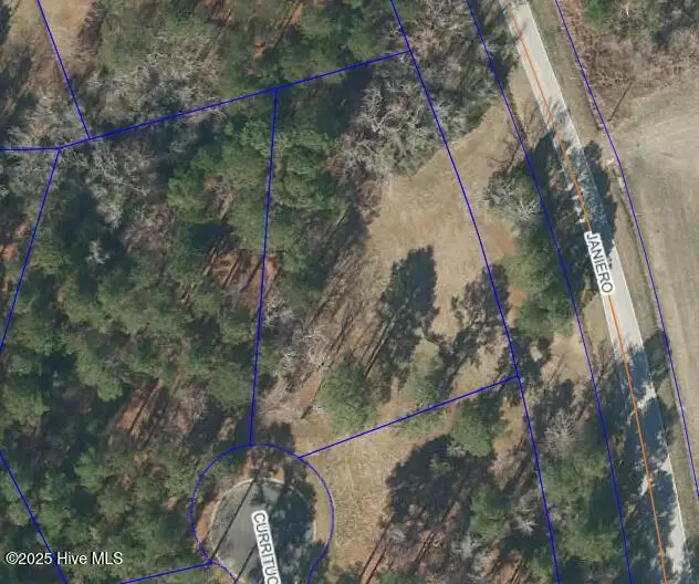 62 Currituck Court, Oriental, NC 28571 - Image #3