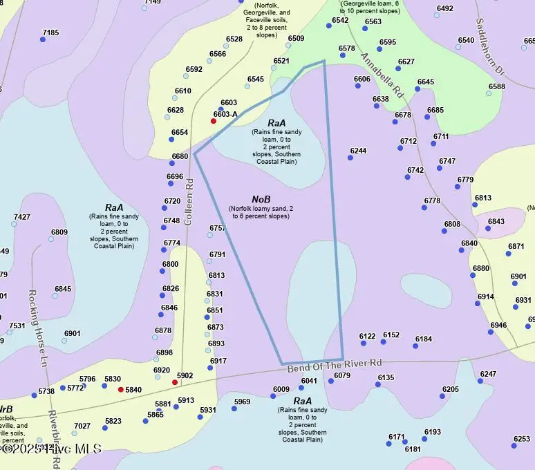 0 Bend Of The River Road, Rocky Mount, NC 27803 - Image #3