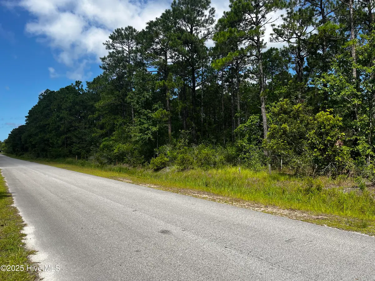 19 W Boiling Spring Road, Boiling Spring Lakes, NC 28461 - #1