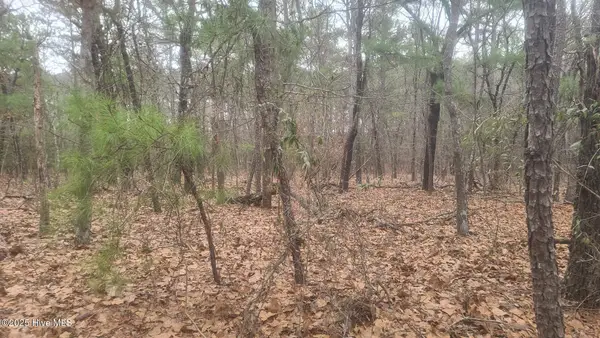 Tbd Union Church Road, Carthage, NC 28327