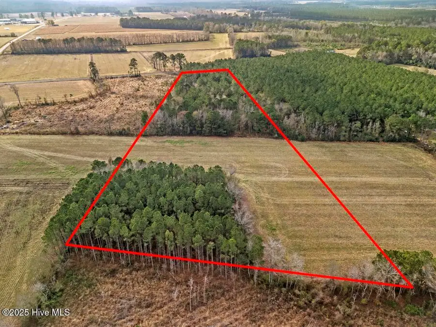 1 Piney Woods Road, Burgaw, NC 28425 - Image #3