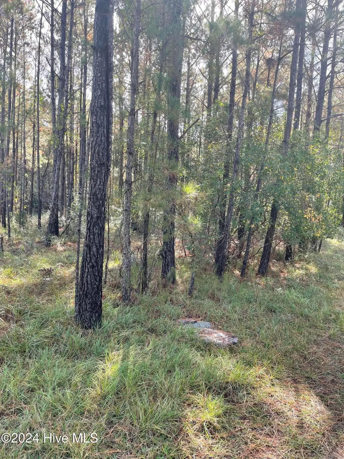 2234 SW Red Bud Road, Supply, NC 28462 - Image #1