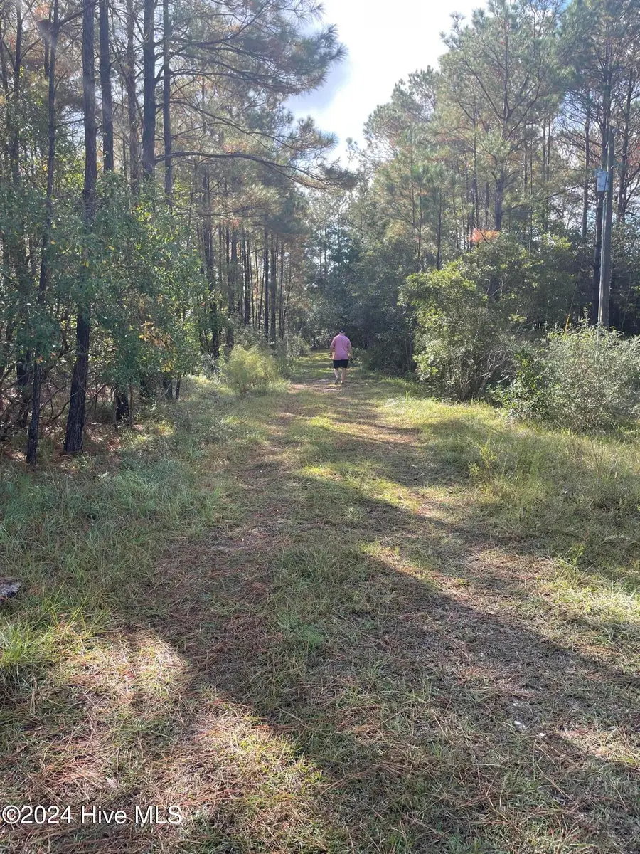 2234 SW Red Bud Road, Supply, NC 28462 - Image #2