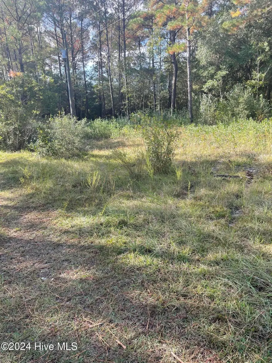 2234 SW Red Bud Road, Supply, NC 28462 - Image #3