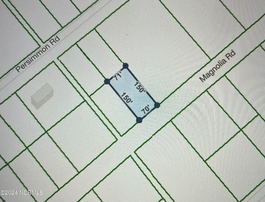 323 Magnolia Road Road, Boiling Spring Lakes, NC 28461 - #2