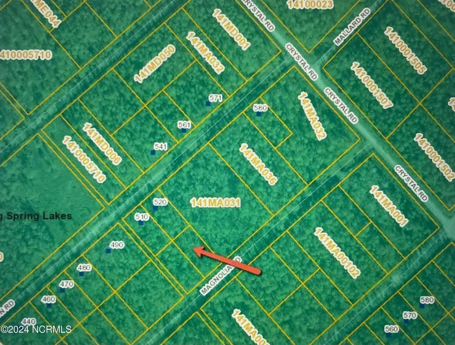 323 Magnolia Road Road, Boiling Spring Lakes, NC 28461 - #3