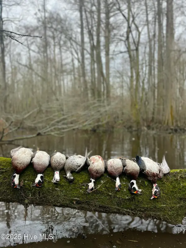 00 Gurman Powell Road, Kenansville, NC 28349