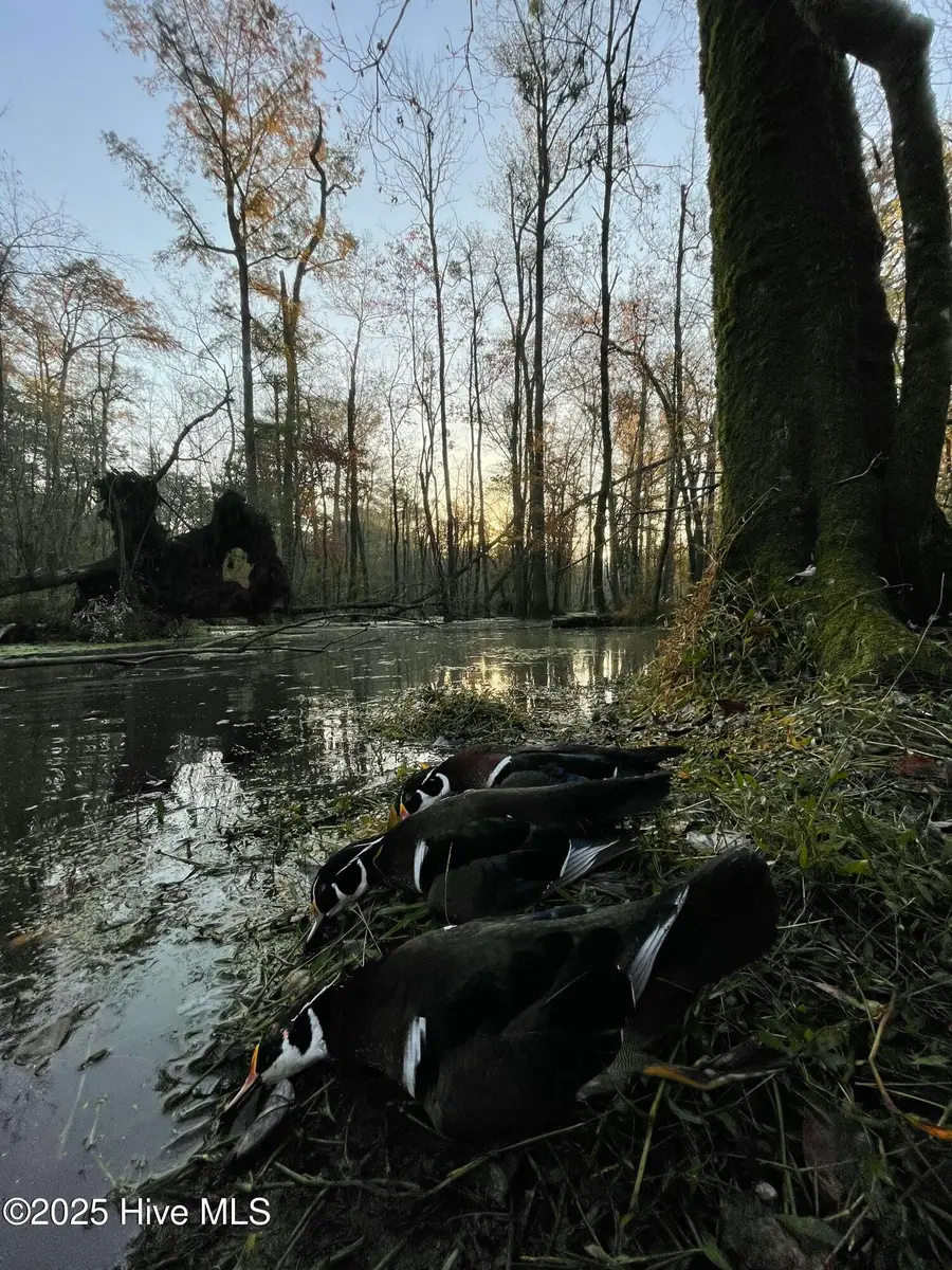 00 Gurman Powell Road, Kenansville, NC 28349 - Image #2