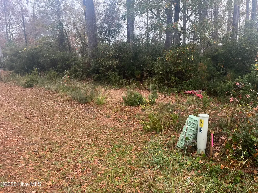 1170 Wilson Avenue Sw, Calabash, NC 28467 - Image #2