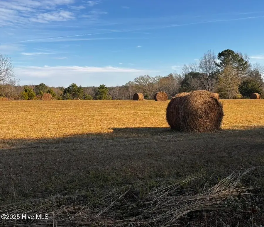 001tbd N. Nc 58 Drive, Nashville, NC 27856 - Image #3