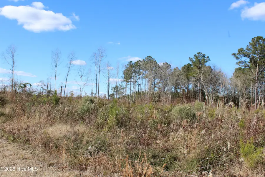 Lot 1 Richlands Road, Trenton, NC 28585 - Image #3