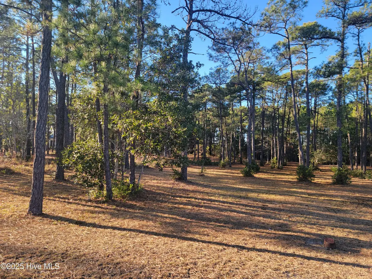 6727 Dunlowe Notch Sw, Ocean Isle Beach, NC 28469 - Image #1