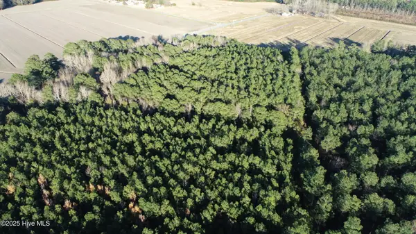 0 U.s. 264, Belhaven, NC 27810