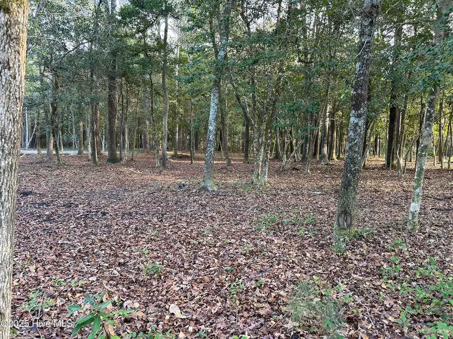 128 Stones Throw Lane, Wilmington, NC 28411 - Image #3