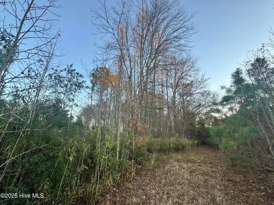 00000 Okisko Road, Elizabeth City, NC 27909 - Image #3