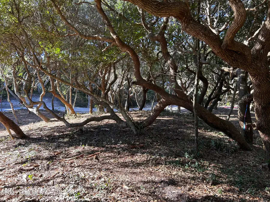 101 Roosevelt Reserve Park Place, Pine Knoll Shores, NC 28512 - Image #3